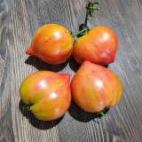278 Red Dragon Heart Tomato Seeds | 3.5–14.1 oz Red Hearts with Golden Stripes