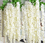 White Wisteria Seeds | Wisteria sinensis | Pure White Climbing Ornamental Vine