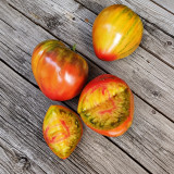273 True Colors Tomato Seeds | 6.3-15.9 oz Multicolor Hearts