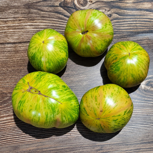 268 Sandra's Smile Tomato Seeds | Formerly Cassandra | 8.8-21.2 oz Ochre-Green Striped Beefsteaks