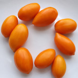 188 Foxy (Lisichka) Tomato Seeds | 3.5–5.3 oz Orange Plum Tomatoes