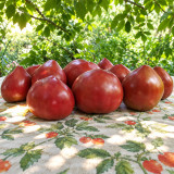 265 Cherokee Black Heart Tomato Seeds | 10.6-15.9 oz Dark Purple Hearts