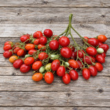 224 Reverend Michael Keyes Tomato Seeds | 0.5–0.7 oz Red Multiflora Plums