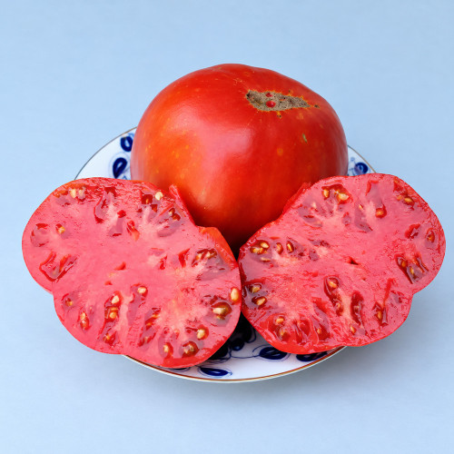 225 Vova Putin Tomato Seeds | 7.1–17.6 oz Red Beefsteaks and Blunt Hearts