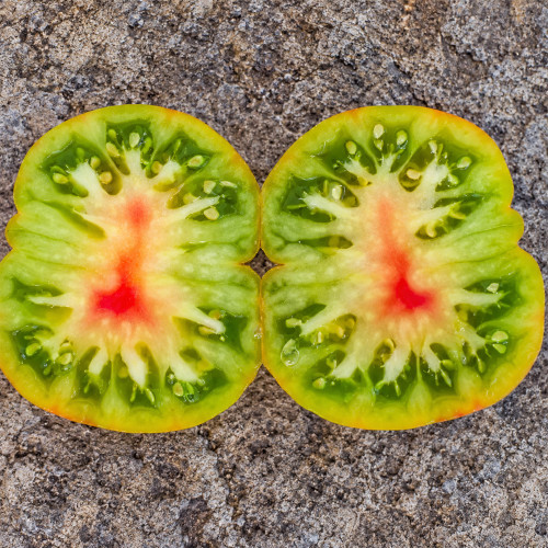 174 Aftershock Dwarf Tomato Seeds | 2.1–2.8 oz Green-When-Ripe Saladettes with Red Blush