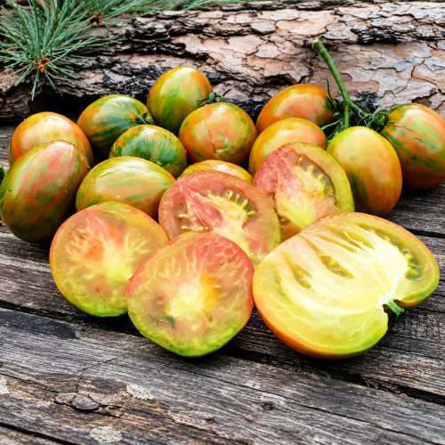 232 Brussel Tomato Festival Seeds | 5.3–6.3 oz Multicolor Striped Tomatoes
