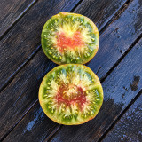 168 Kozula 72 Tomato Seeds | 7.1–10.6 oz Tricolor Green Beefsteak Tomatoes