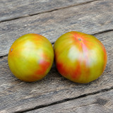168 Kozula 72 Tomato Seeds | 7.1–10.6 oz Tricolor Green Beefsteak Tomatoes
