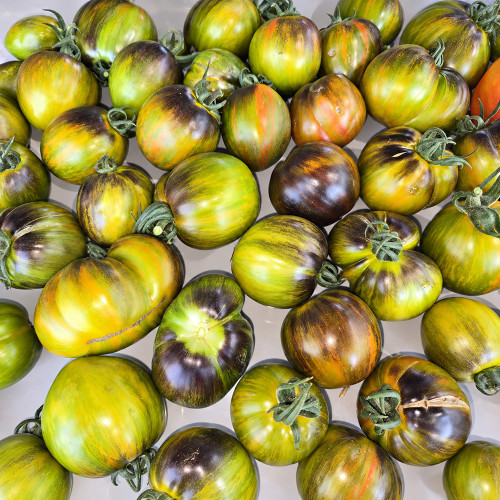 201 Gohua Lightning Tomato Seeds | 3.5–5.3 oz Gold-Green Striped Plums with Purple Shoulders
