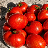 167 Dwarf Speckled Heart Tomato Seeds | 5–12 oz Red Heart Tomatoes with Golden Stripes