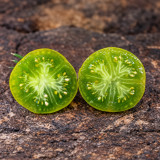 209 Cherokee Green Pear Tomato Seeds | 2.1–3.2 oz Amber-Blushed Green Pears