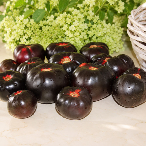 204 Amethyst Heart Tomato Seeds | 8.8 oz Pink-Red Hearts with Purple-Black Shoulders