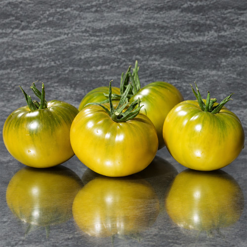 148 Chinese Princess Tomato Seeds | 7.1–8.8 oz Sweet Jade-Green Beefsteaks