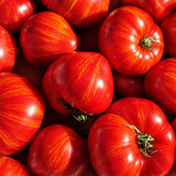 167 Dwarf Speckled Heart Tomato Seeds | 5–12 oz Red Heart Tomatoes with Golden Stripes