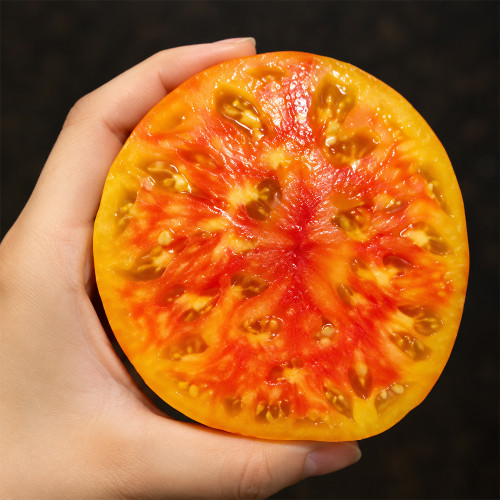 155 Williams'Striped Tomato Seeds | 10.6–26.5 oz Yellow and Red Beefsteak Tomatoes
