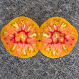 207 Stanley Tomato Seeds | 8.8–14.1 oz Orange-Pink Bicolor Beefsteaks