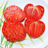 194 Boersi 40 Tomato Seeds | Large Red Heart-Shaped Tomatoes