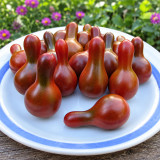 135 Cafe Bule Tomato Seeds | 0.35–1.1 oz Chocolate-Brown Long-Neck Pear Cherries