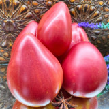 123 Calf's Heart Tomato Seeds | 5.3–10.6 oz Elongated Red Oxhearts