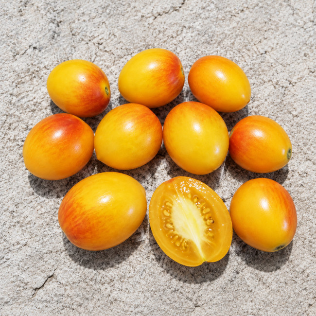 133 Dwarf Dream Weaver Tomato Seeds | 0.7–1.2 oz Golden Fruits with Sweet Lime Flavor
