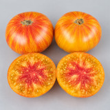 128 Lightning Giant Tomato Seeds | 7.1–14.1 oz Golden-Red Striped Bicolor Beefsteaks