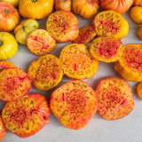 18 Marcy's Mystery Tomato Seeds | 8.8–21.2 oz Orange-Pink Bicolor Beefsteaks