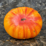 95 Dwarf Big Orange Stripe Tomato Seeds | Orange-Pink Striped Slicers