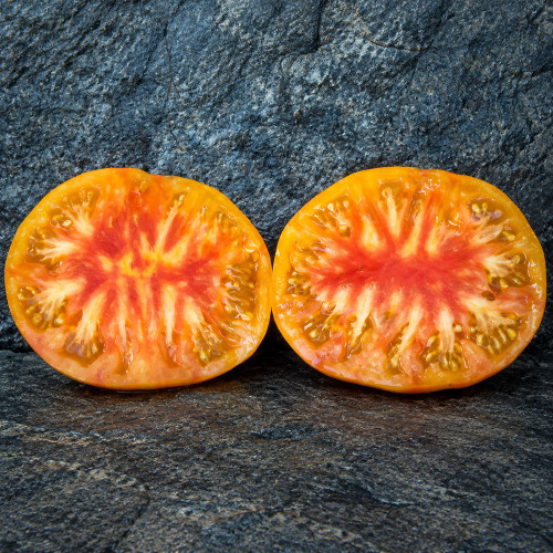 95 Dwarf Big Orange Stripe Tomato Seeds | Orange-Pink Striped Slicers