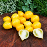 21 Lil' Peeps Micro Dwarf Tomato Seeds | 0.5–0.75 oz Sweet Yellow Pointed Cherries