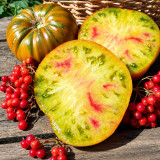 77 Maple Syrup Tomato Seeds | 8.8–14.1 oz Striped Tricolor Beefsteaks