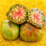 86 Green Copia Tomato Seeds | 6.3–15.9 oz Green-Pink Striped Beefsteaks