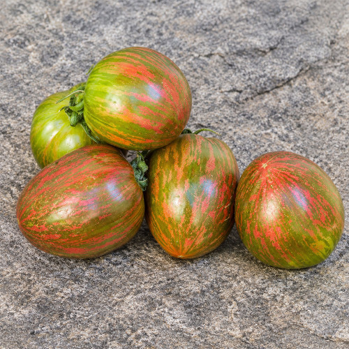 33 Moonlight Mile Tomato Seeds | 2.8–5.3 oz Purple-Green Striped Plum Tomatoes