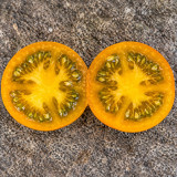 66 Dwarf Soul Patch Tomato Seeds | 1.1–2.8 oz Bronze-Orange Cocktail Tomatoes