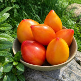 208 Dwarf Sunkissed Peach Tomato Seeds | 2.5–5.3 oz Golden-Pink Pointed Hearts