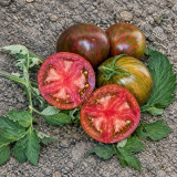 33 Moonlight Mile Tomato Seeds | 2.8–5.3 oz Purple-Green Striped Plum Tomatoes