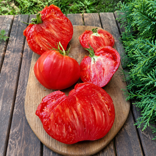 109 Yasha Yugoslavian Tomato Seeds | 1–2 lb Pink Oxheart Beefsteaks