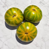 305 Dwarf Rebel Yellow-Green F4 Tomato Seeds | 7–17.6 oz Striped Dwarf Beefsteaks