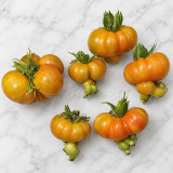 8 Dean's Chickie Cherry Tomato Seeds | Orange-Yellow Ruffled Cherries