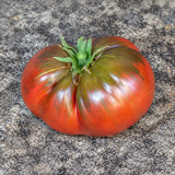 39 Lavender Lake Tomato Seeds | 16–20 oz Purple-Brown Beefsteaks