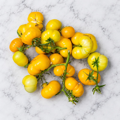 88 Dwarf Rumpelstiltskin Tomato Seeds | 3.5–5.3 oz Golden Yellow Beefsteaks