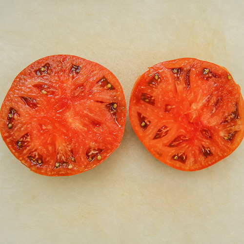 46 Charbonniere du Berry Tomato Seeds | 10.6–28.2 oz Red-Brown Beefsteaks