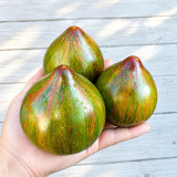 1123 Emerald Meteor Shower Tomato Seeds | Pink-Striped Green Hearts