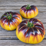 87 Sart Roloise Tomato Seeds | 7.1–12.3 oz Creamy Yellow Indigo Beefsteaks
