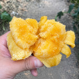 U2609 Chinese Large Yellow Persimmon Tomato Seeds | 7.1 oz Sweet Golden Slicers