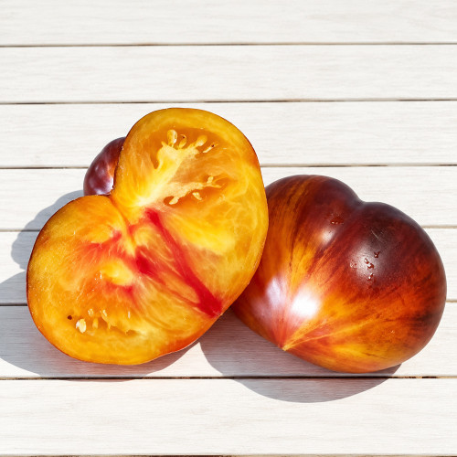 988 Sgt. Pepper's Bicolor Tomato Seeds | 4.6–13.8 oz Orange Fruits with Purple Shoulders