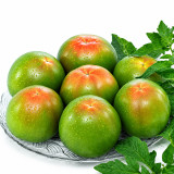 U2612 Yi Dian Hong Tomato Seeds | 7.1 oz Green-Shouldered Fruits with Red Blush