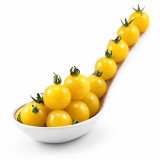 966 Coyote Tomato Seeds | Pale Yellow Ivory Currant-Sized Fruits