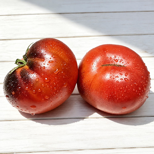 485 Black Alice Tomato Seeds | 6.3–8.8 oz Chocolate Purple Fruits with Golden Highlights