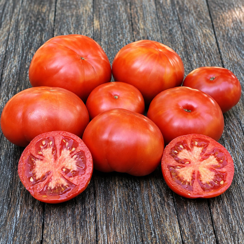 1121 Early Mayflower Tomato Seeds | Early Red Round Fruits, Approx. 3.5 oz