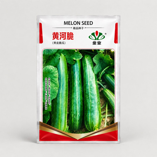 U2617 Huanghe Crisp Vegetable Melon Seeds | 8–12 in Green-Striped Asian Slicers